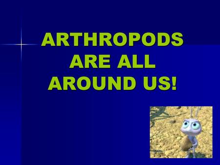 ARTHROPODS ARE ALL AROUND US!