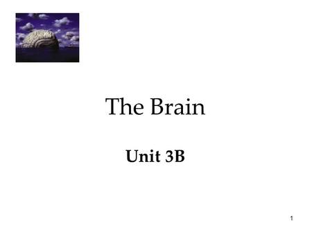 1 The Brain Unit 3B. 2 The Brain  The Tools of Discovery  Older Brain Structures  The Cerebral Cortex  Our Divided Brain  Left Brain-Right Brain.