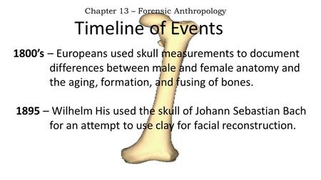 Timeline of Events Chapter 13 – Forensic Anthropology 1800’s – Europeans used skull measurements to document differences between male and female anatomy.