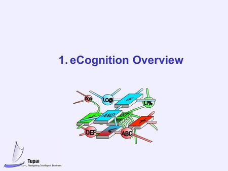 1.eCognition Overview. 1 eCognition eCognition is a knowledge utilisation platform based on Active Knowledge Network technology eCognition covers the.