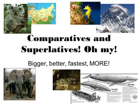 Comparatives and Superlatives! Oh my! Bigger, better, fastest, MORE!