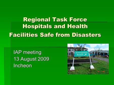 Regional Task Force Hospitals and Health Facilities Safe from Disasters IAP meeting 13 August 2009 Incheon.
