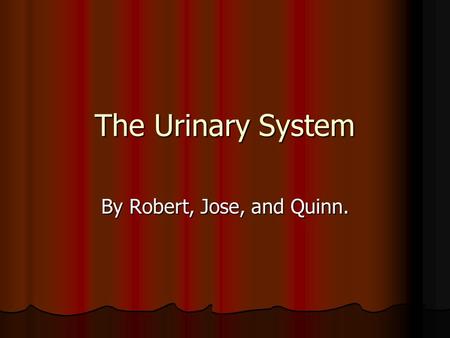 The Urinary System By Robert, Jose, and Quinn. The Kidneys  The kidneys make sure that your blood has enough vitamins and minerals.  Each kidney has.