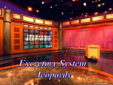 Course Guide Jeopardy 100 200 100 200 300 1200 1500 300 400 500 100 200 300 400 500 100 200 300 400 1000 100 200 300 400 500 Excretory System KidneyParts.