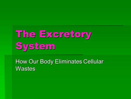 The Excretory System How Our Body Eliminates Cellular Wastes.