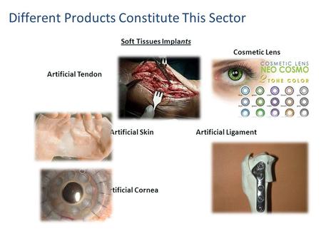 Artificial Tendon Artificial Skin Artificial Ligament Artificial Cornea Soft Tissues Implants Different Products Constitute This Sector Cosmetic Lens.