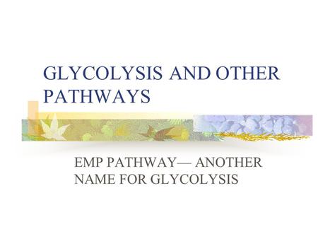 GLYCOLYSIS AND OTHER PATHWAYS