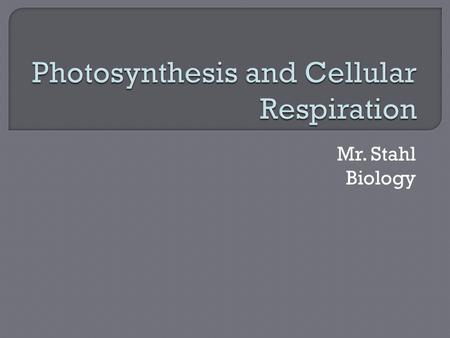 Photosynthesis and Cellular Respiration