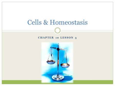 Cells & Homeostasis Chapter 10 Lesson 3.
