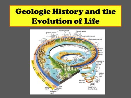 Geologic History and the Evolution of Life