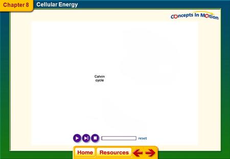 Chapter 8 Cellular Energy.