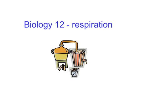 Biology 12 - respiration.
