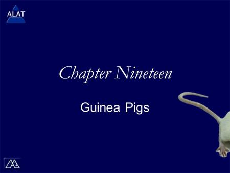 Chapter Nineteen Guinea Pigs.  If viewing this in PowerPoint, use the icon to run the show (bottom left of screen).  Mac users go to “Slide Show > View.