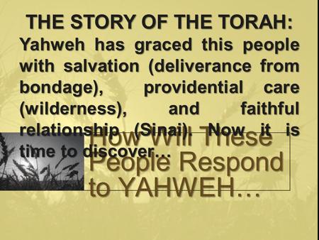 How Will These People Respond to YAHWEH… THE STORY OF THE TORAH: Yahweh has graced this people with salvation (deliverance from bondage), providential.