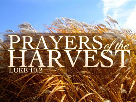 Prayers of the Harvest. Praying For Fellow Laborers Key Text: Luke 10:1-12 For More Laborers To Join The Harvest –Vs. 2 For Welcome Reception –Vs. 3-9.