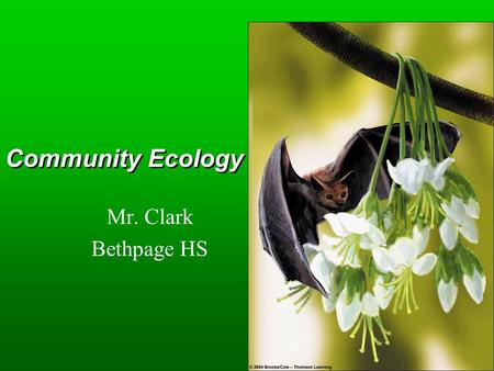 Community Ecology Mr. Clark Bethpage HS. Key Concepts  Community structure  Roles of species  Species interactions  Changes in ecosystems  Stability.