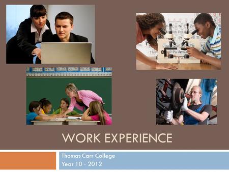 WORK EXPERIENCE Thomas Carr College Year 10 - 2012.