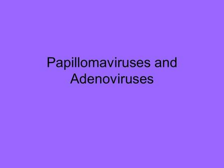 Papillomaviruses and Adenoviruses. Jumpstart 5/14 1.What type of virus causes warts? 2.What is an adenovirus?
