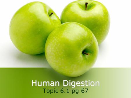 Human Digestion Topic 6.1 pg 67.