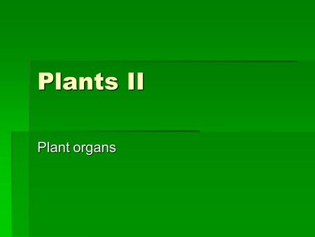 Plants II Plant organs.