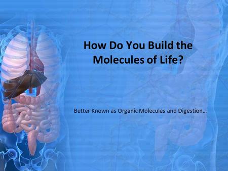 How Do You Build the Molecules of Life? Better Known as Organic Molecules and Digestion…