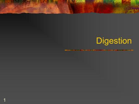Liz Lauben 1 Digestion Liz Lauben 2 Introduction Digestion is defined as the breakdown of nutrients We consume: Proteins Carbohydrates Fats These are.