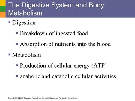 Copyright © 2006 Pearson Education, Inc., publishing as Benjamin Cummings The Digestive System and Body Metabolism  Digestion  Breakdown of ingested.