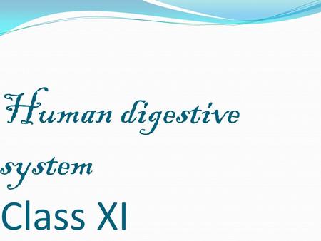 Human digestive system Class XI. The Process of Digestion is accomplished by mechanical and Chemical process in different parts of the alimentary canal.
