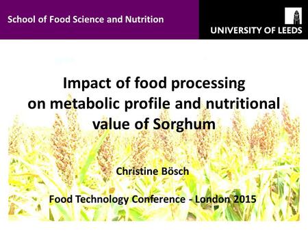 Impact of food processing on metabolic profile and nutritional value of Sorghum Christine Bösch Food Technology Conference - London 2015 School of Food.
