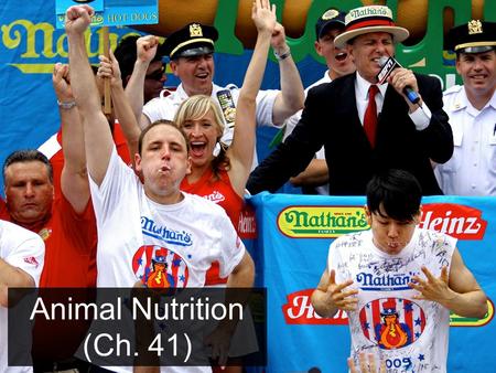 Animal Nutrition Animal Nutrition (Ch. 41).