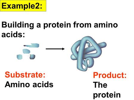 Example2: Building a protein from amino acids: Substrate: Amino acids Product: The protein.