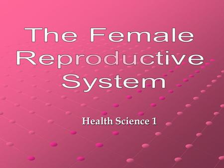 The Female Reproductive System Health Science 1.