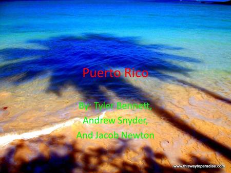 Puerto Rico By: Tyler Bennett, Andrew Snyder, And Jacob Newton.