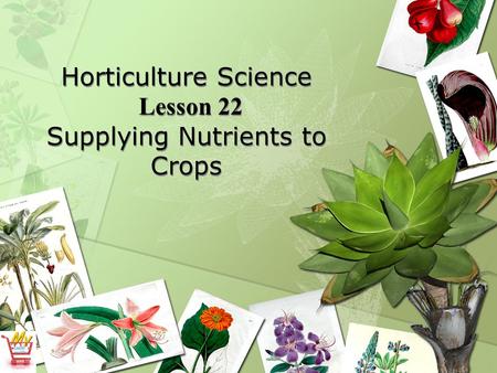 Horticulture Science Lesson 22 Supplying Nutrients to Crops.