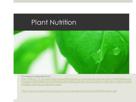Plant Nutrition Powerpoint adopted from:  Powerpoint%2520files/35Ch37PlantNutrition2005a.pdf+ap+biology+plant+nutrition&hl=en&ct=clnk&c.