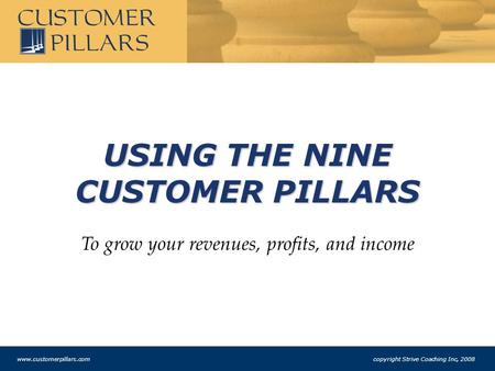 USING THE NINE CUSTOMER PILLARS To grow your revenues, profits, and income www.customerpillars.com copyright Strive Coaching Inc, 2008.