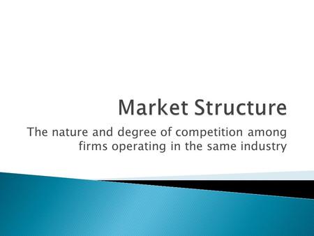 Market Structure The nature and degree of competition among firms operating in the same industry.