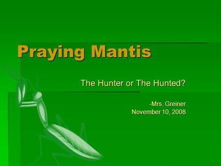 Praying Mantis The Hunter or The Hunted? -Mrs. Greiner November 10, 2008.