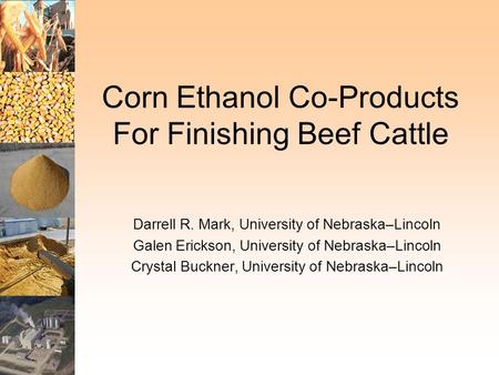 Corn Ethanol Co-Products For Finishing Beef Cattle Darrell R. Mark, University of Nebraska–Lincoln Galen Erickson, University of Nebraska–Lincoln Crystal.
