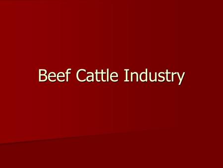 Beef Cattle Industry.