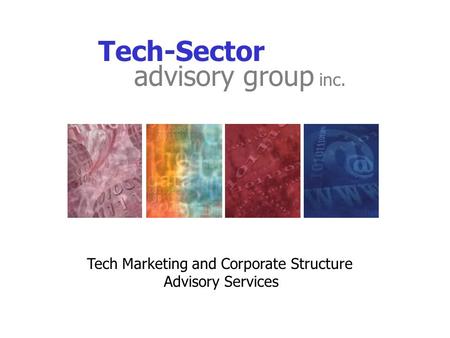 Tech-Sector Tech Marketing and Corporate Structure Advisory Services advisory group inc.