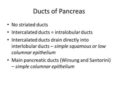 Ducts of Pancreas No striated ducts Intercalated ducts = intralobular ducts Intercalated ducts drain directly into interlobular ducts – simple squamous.