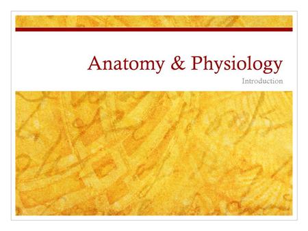 Anatomy & Physiology Introduction.