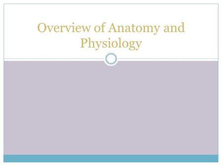 Overview of Anatomy and Physiology. What is It? The branches of anatomy and physiology are complementary to each other Anatomy is the study of the structure.