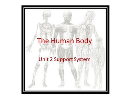 The Human Body Unit 2 Support System. Anatomy and Physiology Anatomy: The study of structures and the relationship of structures to each other. (What.