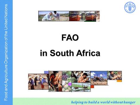Food and Agriculture Organization of the United Nations helping to build a world without hunger FAO in South Africa.