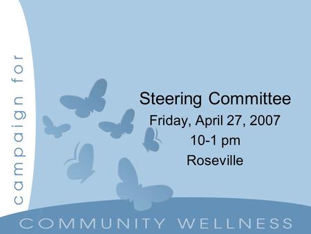 Steering Committee Friday, April 27, 2007 10-1 pm Roseville.
