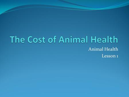 Animal Health Lesson 1. Examples of Careers in Animal Health Laboratory technical support Research scientist Veterinarian Veterinarian assistant Teaching.