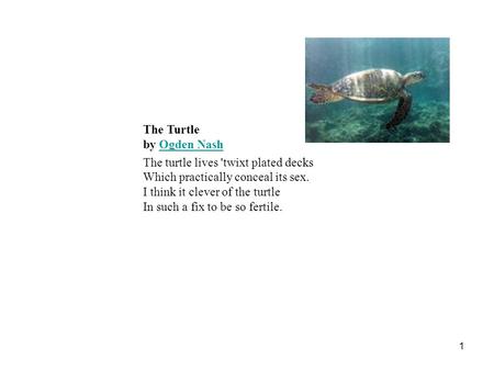 1 The Turtle by Ogden Nash Ogden Nash The turtle lives 'twixt plated decks Which practically conceal its sex. I think it clever of the turtle In such a.