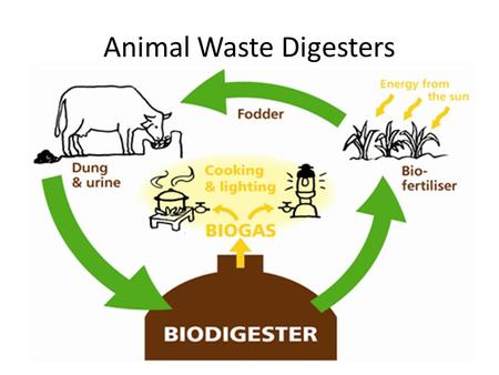 Animal Waste Digesters. Bio-diesel Bio diesel can be made with many different plant residues, weedy species, algae Depending on the source, bio-diesel.